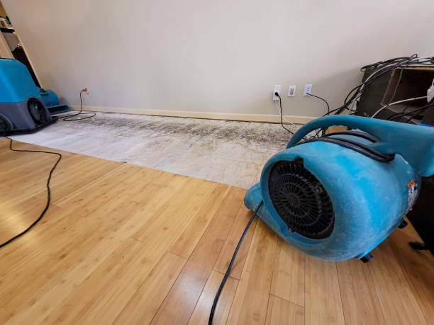 Professional Water Damage Repair technician working in Fitzwilliam, NH